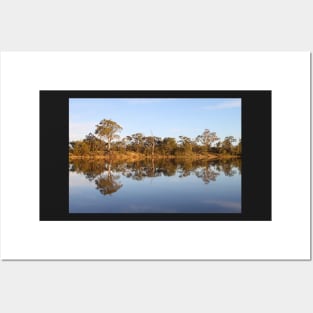 Late Afternoon Reflections on the River Murray Posters and Art